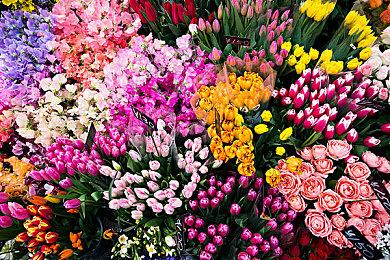 铃木Suzuki与《街霸6》联动 推出韩蛛俐风格摩托车